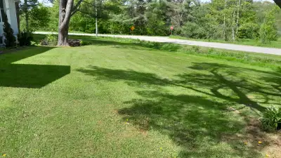 Lawn Cutting,Tree/Brush Cleanup,Gutter Protection, View more