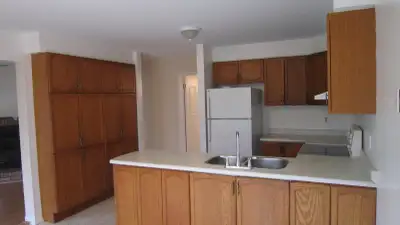 ROOM FOR RENT $850 May 1, Female Students, View more