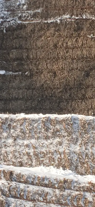 I have 3 / 3 cannola straw bales for sales. The weigh approximately 600 pounds a piece. I'm asking $...