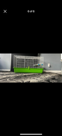 Hamster cage huge