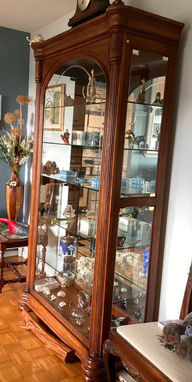 Beautiful lighted cabinet in Hutches & Display Cabinets in Peterborough - Image 2