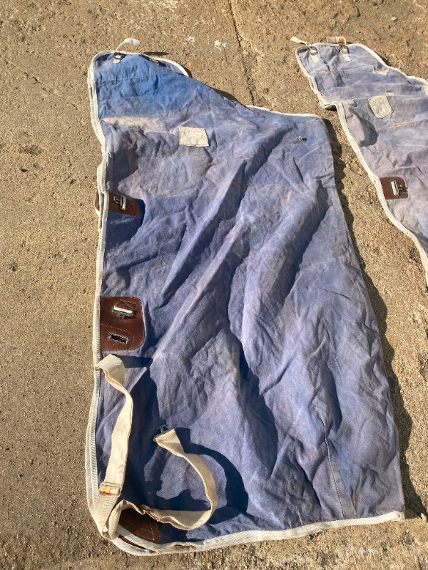 horse blankets in Equestrian & Livestock Accessories in Lloydminster - Image 4