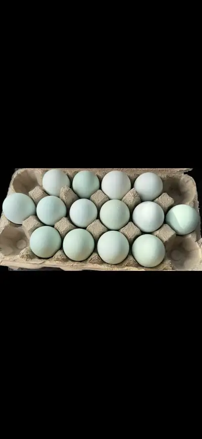 15 dozen farm fresh eggs delivered to your door, View more