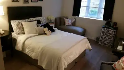 1 Bedroom Legal Walkout Basement Apartment For Rent Newmarket