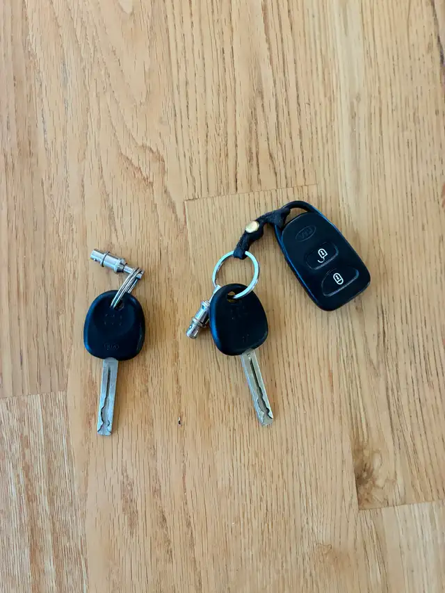 2010 KIA RIO547508079864074246