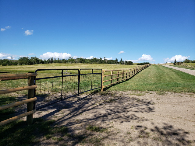 Custom Cattle Fencing and Acreage Fencing in Other in Prince Albert - Image 3