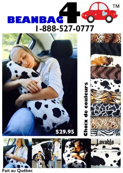 #beanbag pour l'auto, lavable, neuf , #cadeauoriginal, View more
