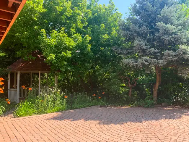 Photo 17