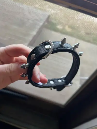 Dog Collar, View more