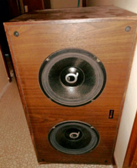 10" Subwoofer 8Q ohm with Axiom Bass Cabinet Built-In Crossover