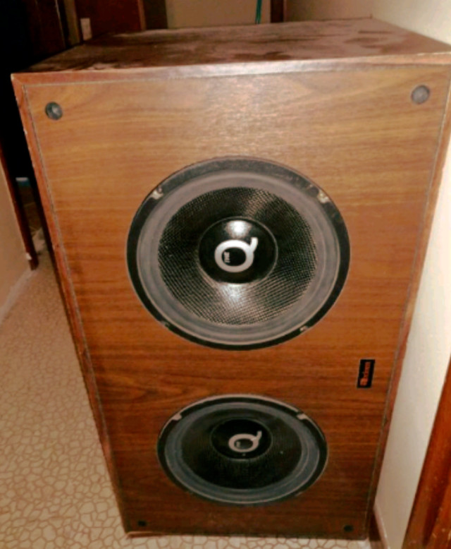 10" Subwoofer 8Q ohm with Axiom Bass Cabinet Built-In Crossover in Stereo Systems & Home Theatre in Oshawa / Durham Region