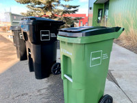 Garbage/Recycle Bin Cleaning