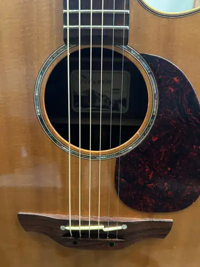 Takamine guitar and Bose amp, View more