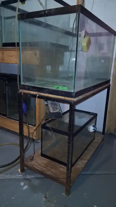 aquariums and stand for sale, View more