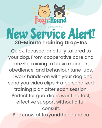 Dog Training in Edmonton and Surrounding Areas, View more