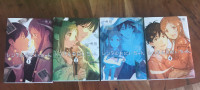 4 books, complete series: Big brother rental manga (レンタルお兄ちゃん)