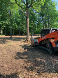 Forestry mulching land clearing service 