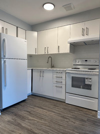 Newly Renovated 1Bedroom Apartment in Port Credit