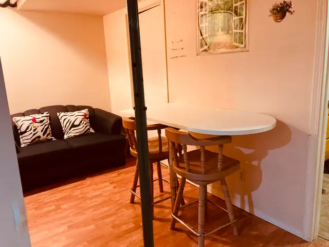 EdgemontNW walkup basement incl utility share bath1guy sep entry628647544023051213