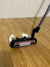 Ray Cook putter RH