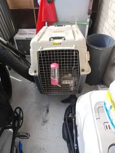 Elevon Plastic Kennels Pet Carrier, View more