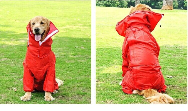 Dog rain coat never used in Accessories in Oakville / Halton Region - Image 2