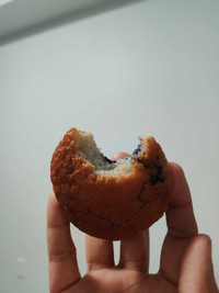 Blueberry muffins 