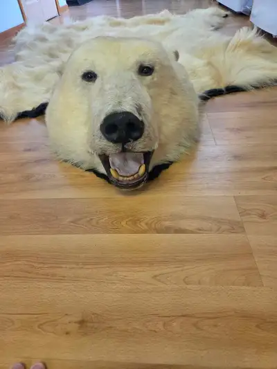 polar bear rug, View more