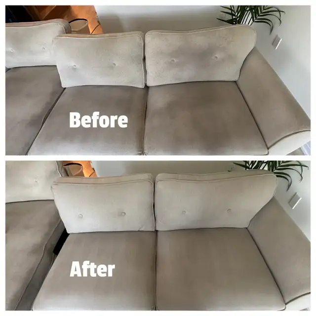 carpet and sofa fresh up603219961295022083
