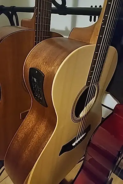 Taylor 12e, View more