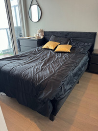 Black velvet bed 
