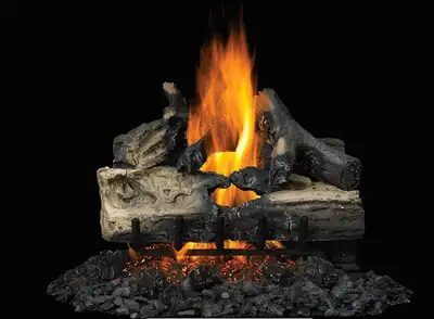 Natural gas Reversible Log sets open box, View more