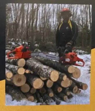 Chainsaw for Hire - Tree Maintenance - Storm Cleanup in Lawn, Tree Maintenance & Eavestrough in Summerside - Image 5