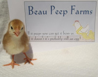 Beau Peep Farms WEEKEND SALE