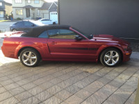 2007 Ford Mustang Convertible GT California Special For Sale