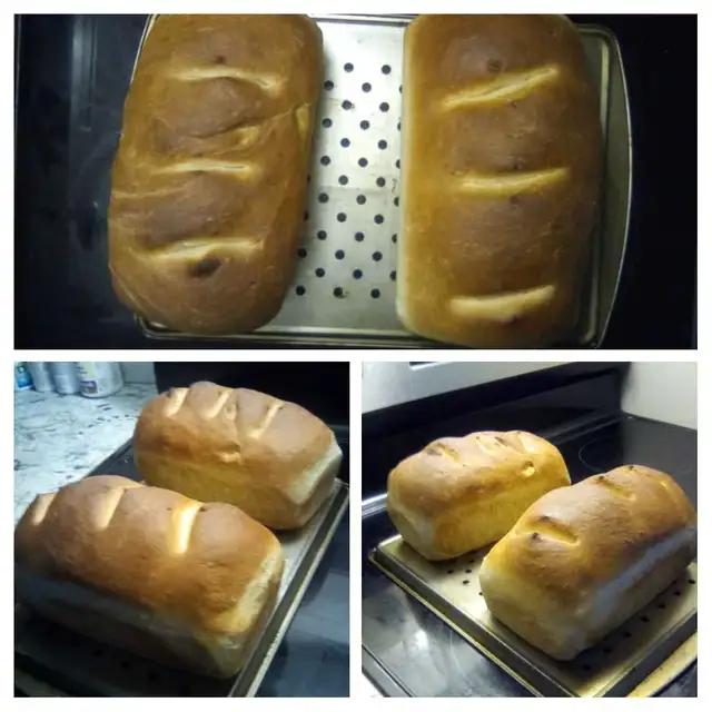 Sourdough starter, perfect for baking delicious homemade bread. 63005666105219121