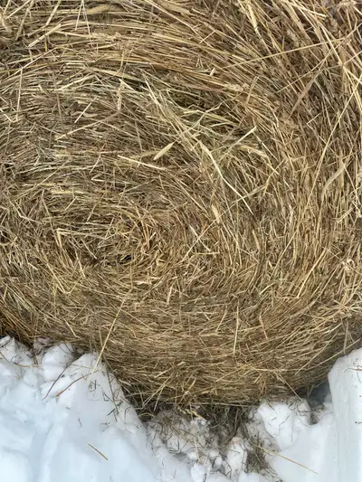 1st cut 4x5 round bales, View more