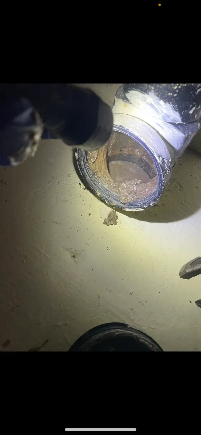 plumber licensed424339833472296960