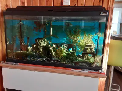 aquarium HAGEN en vitre, grandeur du réservoir : 30 pouces de large X 12 pouces de côté X 16 pouces...
