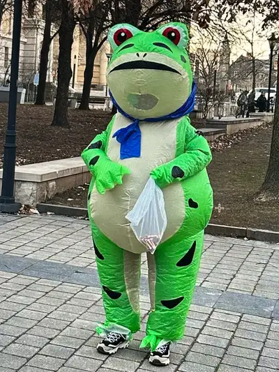 Inflatable Frog Costume for Halloween, View more