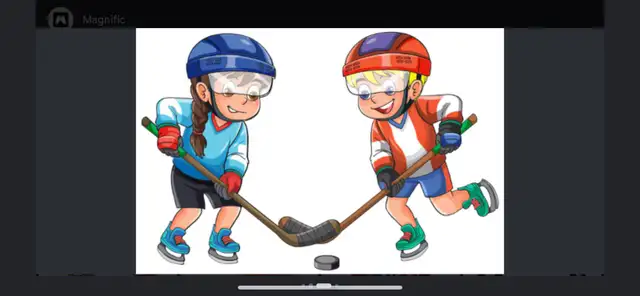 ball hockey ? 