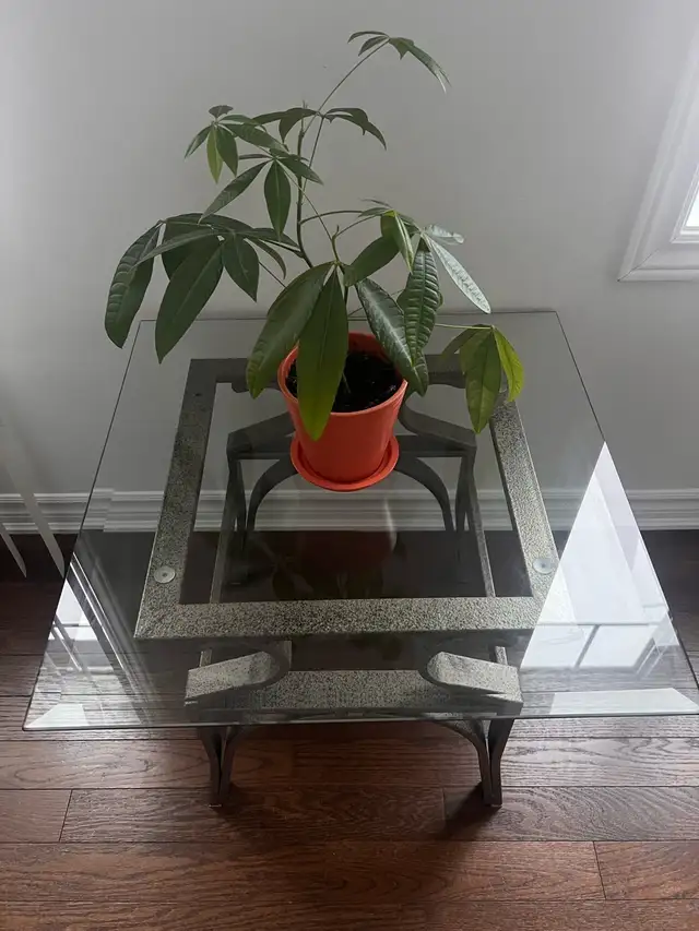 Glass coffee table with matching end tables in Coffee Tables in Ottawa - Image 3