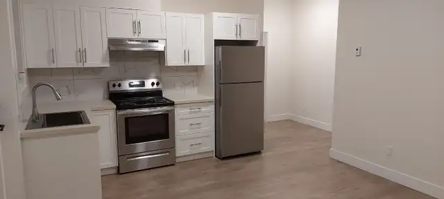 2 bedroom basement suite (146 St and 55 Ave) Surrey