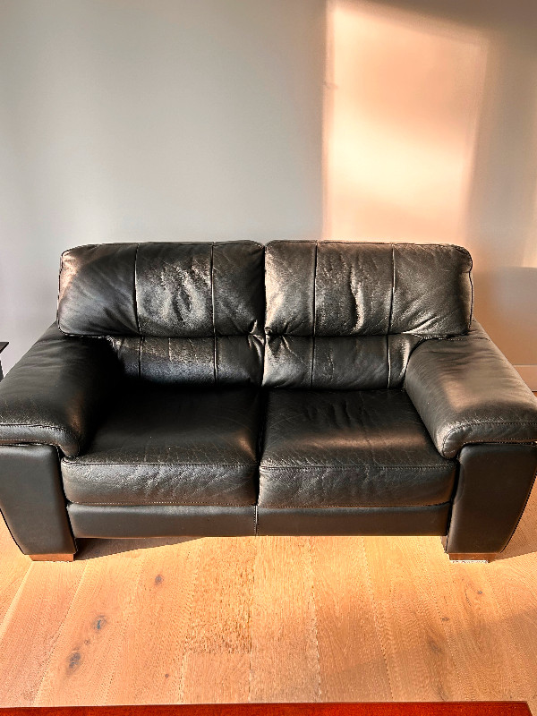 Leather Furniture in Couches & Futons in Kelowna - Image 3