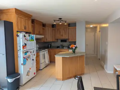 OPEN HOUSE: Hickory Kitchen + Finished Bsmt + Powered Shed, View more