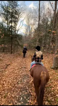 Trail riding on horseback 