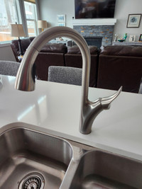 Kitchen Faucet