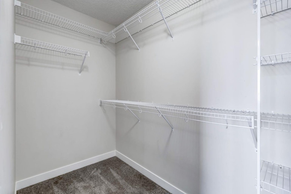3.5BR   2.5Bath Open Concept Main Floor Home 5