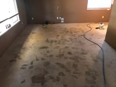 Best Carpet And Sofa Cleaner In GTA, View more