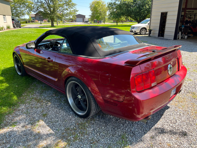 2008 mustang GT convertible  in Cars & Trucks in St. Catharines - Image 2